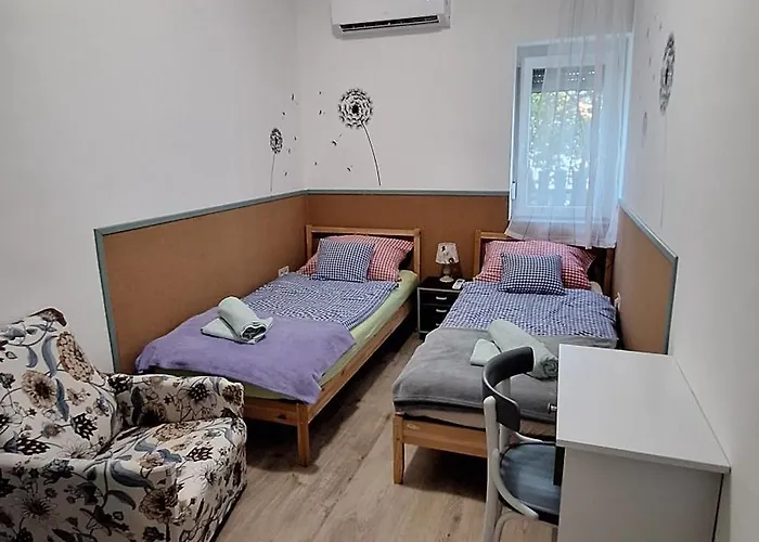 Roli Bacsi Haza 陶波尔曹