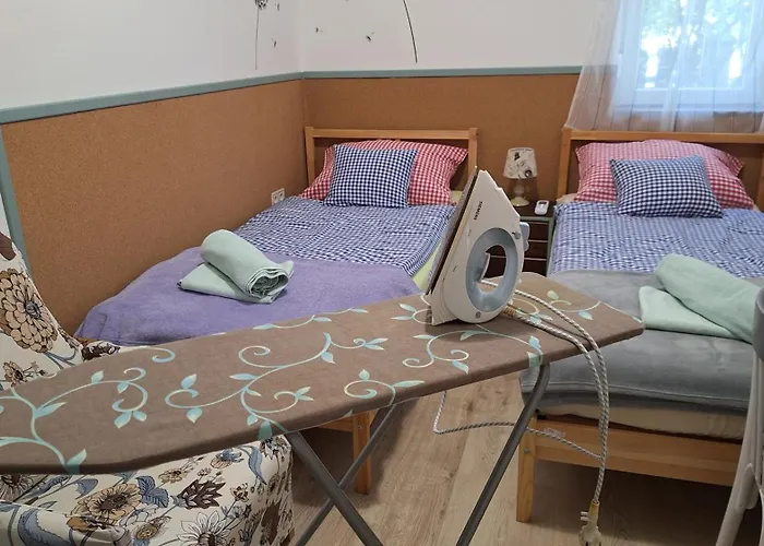 Roli Bacsi Haza 陶波尔曹